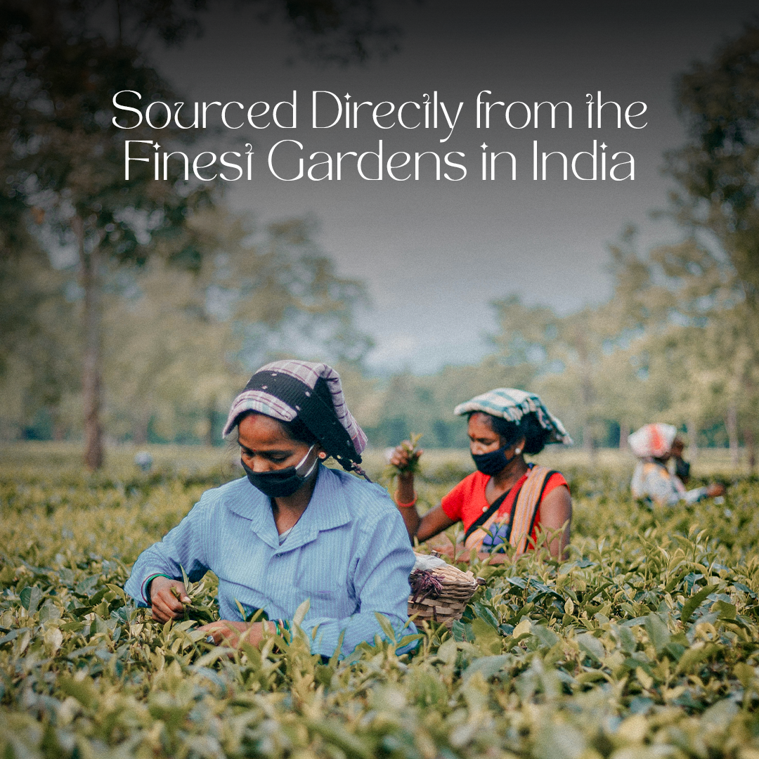 Assorted Tea Box | All Eight Teas Combo for Overall Health