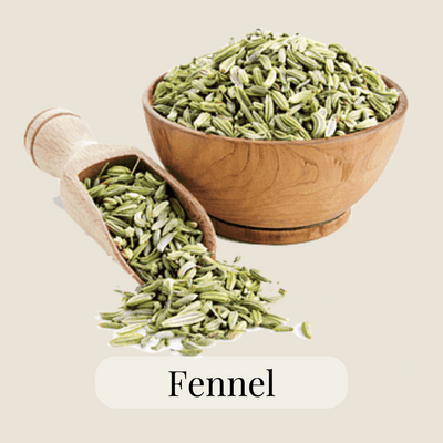 fennel green tea 