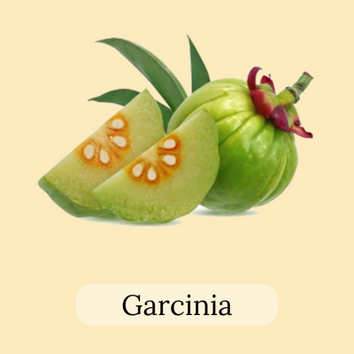 Garcinia fruit tea