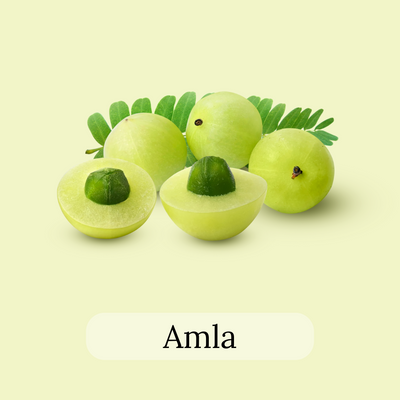 Fresh Amla tea