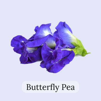 butterfly pea flowers tea