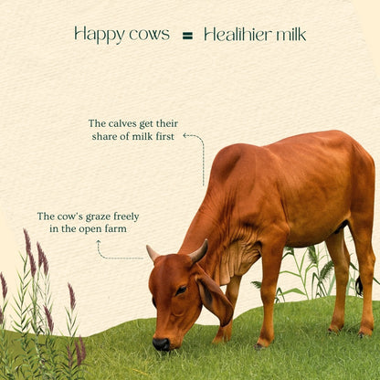 A2 Desi Cow Ghee | Ayurvedic Purity in Every Drop